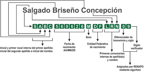 Diagrama que explica los elementos de la CURP: iniciales, fecha de nacimiento, sexo, entidad de nacimiento y dígito verificador.